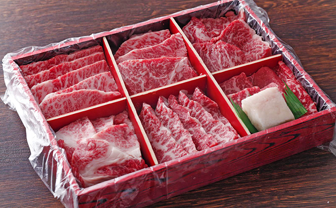 期間限定寄附額 神戸牛 焼肉セット 6種 600g 食べ比べ 牛肉 肉 焼き肉 国産 年内配送 within2025