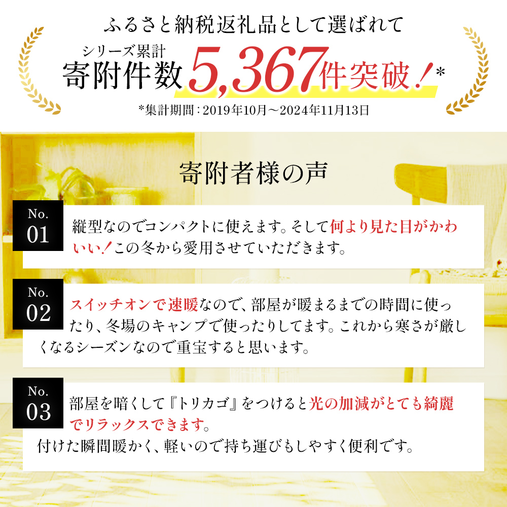 特別寄附額 アラジン ストーブ グラファイトヒーター トリカゴ 白 CAH-G42GD