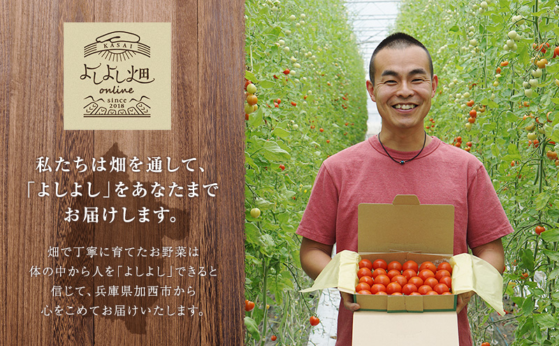 トマト 中玉 800g～1kg よしよし畑のあま～いトマト とまと 季節の野菜 旬の野菜 新鮮 農家直送 夏野菜 野菜