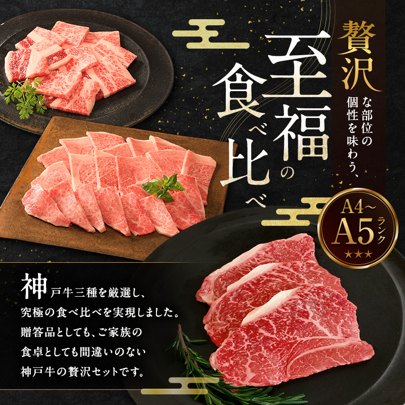 期間限定寄附額 神戸牛 贅沢セットC 計850g 焼肉用ロース バラ ももステーキ