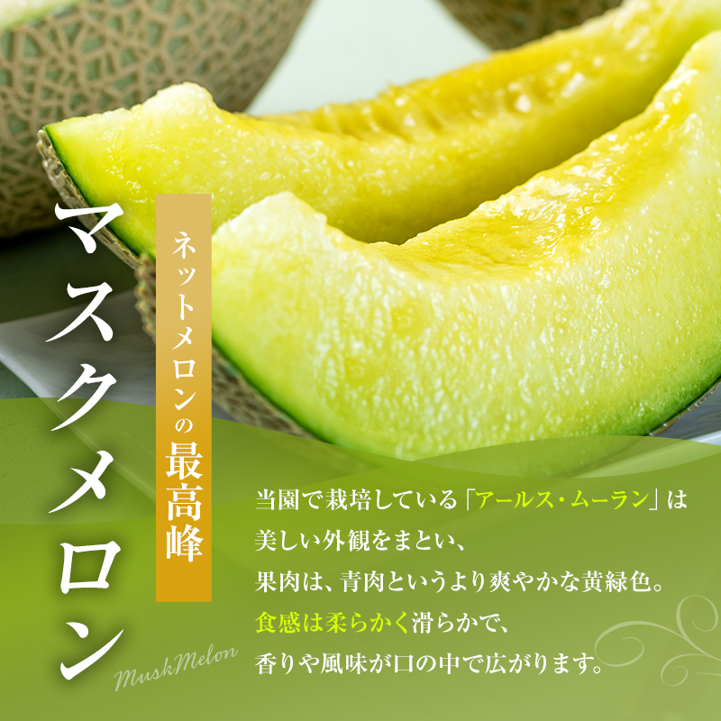 【先行予約】マスクメロン アールスメロン アールスムーラン 1個 糖度14度以上 メロン 大玉 めろん フルーツ 秀品 兵庫県 加西市産 ギフト プレゼント 人気