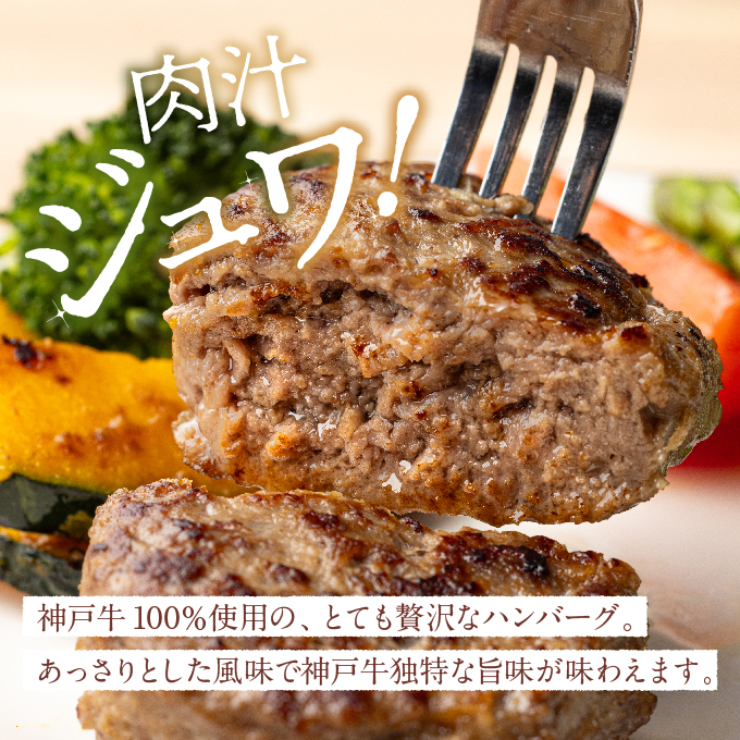 神戸牛 100% プレミアムハンバーグカレー セット 国産 肉 牛肉  冷凍 小分け 地鶏丹波黒どりと京都府産黒大豆のキーマカリー 鶏肉 レトルトカレー