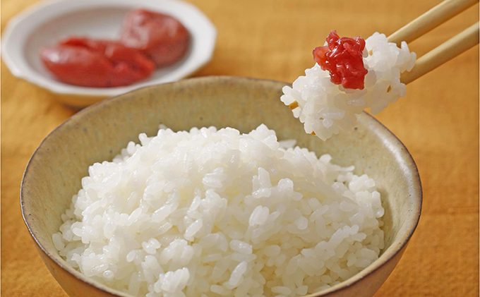 兵庫県加西市産　特A米相当コシヒカリ　5kg×6回