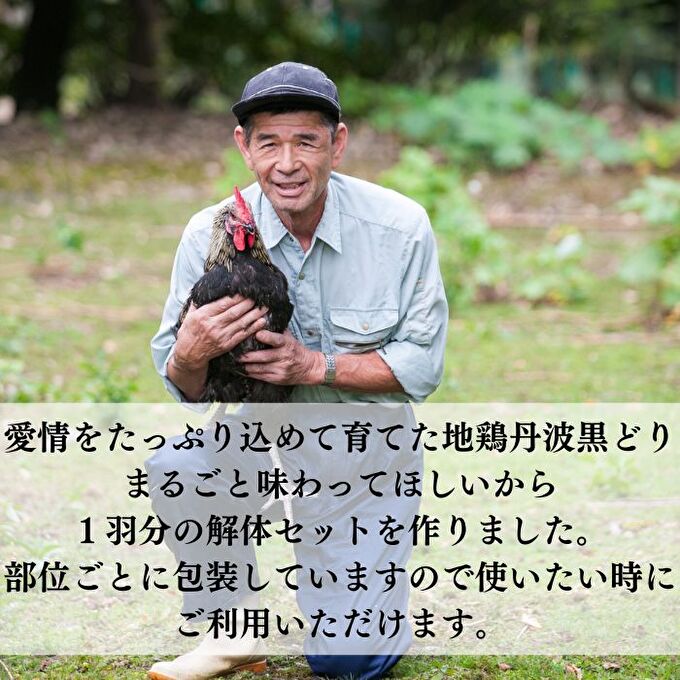 地鶏 丹波 黒どり 1羽セット 冷凍 焼き鳥 鍋 焼肉 BBQ 鶏肉