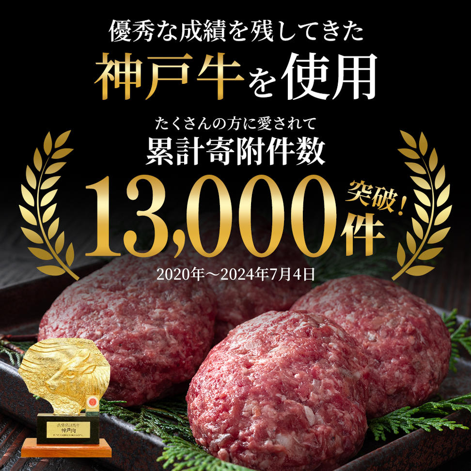 神戸牛 ハンバーグ 100g×10個 国産 牛肉 小分け