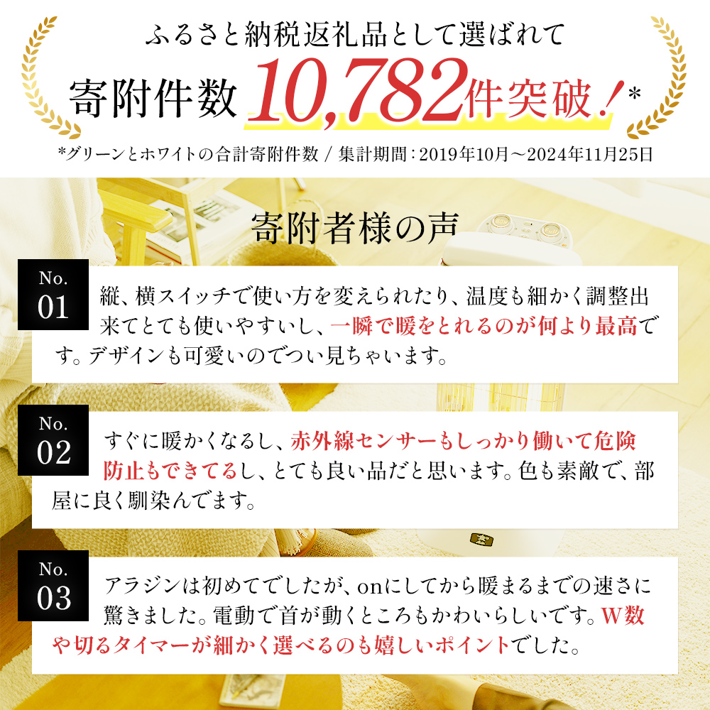 特別寄附額 訳あり 過年度モデル アラジン 遠赤 グラファイ