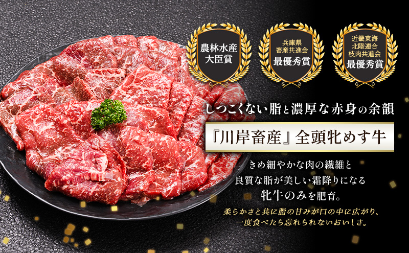【最短7日以内発送】 神戸ビーフ 神戸牛 牝 上赤身 焼肉 1000