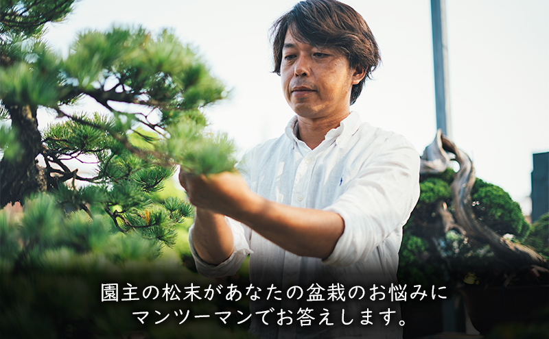 盆栽 翠松園 リザーブサービス 【あなたの盆栽に合わせた