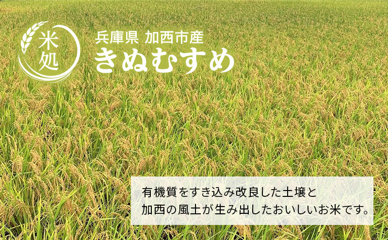 【令和6年産新米予約受付】 定期便 きぬむすめ 3kg×2袋 6ヶ
