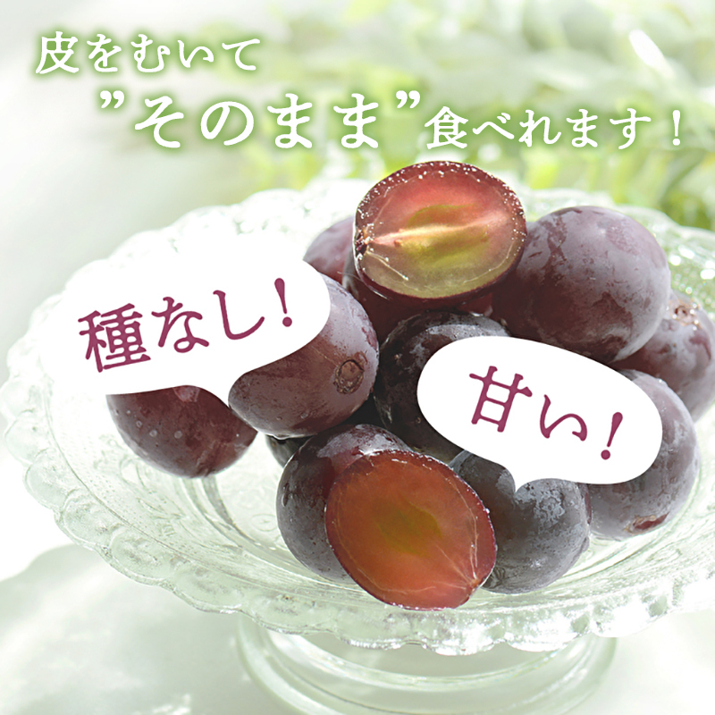 ゴールデンベリーA 約2kg 3～5房 【2026年産 予約受付】 ぶど