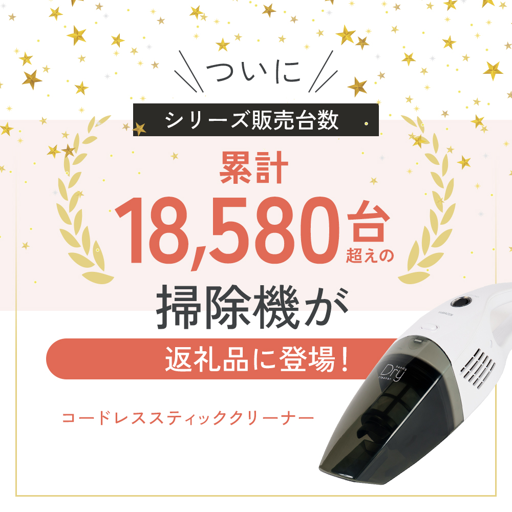 クリーナー YAMAZEN 山善 ハンディクリーナー ZHF-N36(W) 掃除機 