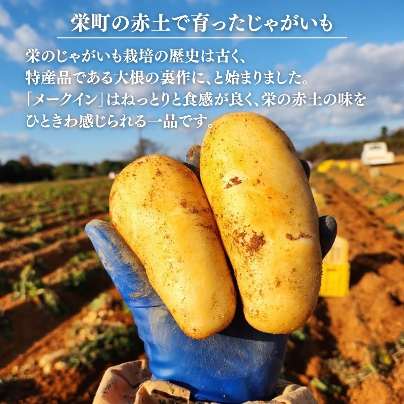 じゃがいも メークイン 5kg 産地直送 野菜 ジャガイモ 芋 赤