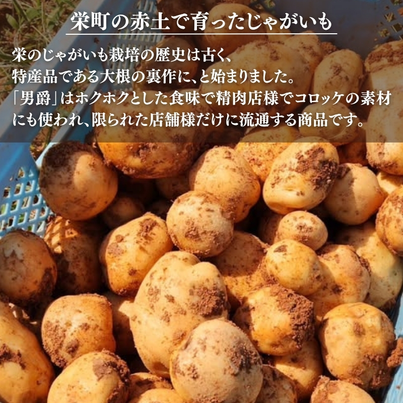 じゃがいも 男爵 5kg 産地直送 野菜 ジャガイモ 芋 赤土 加西
