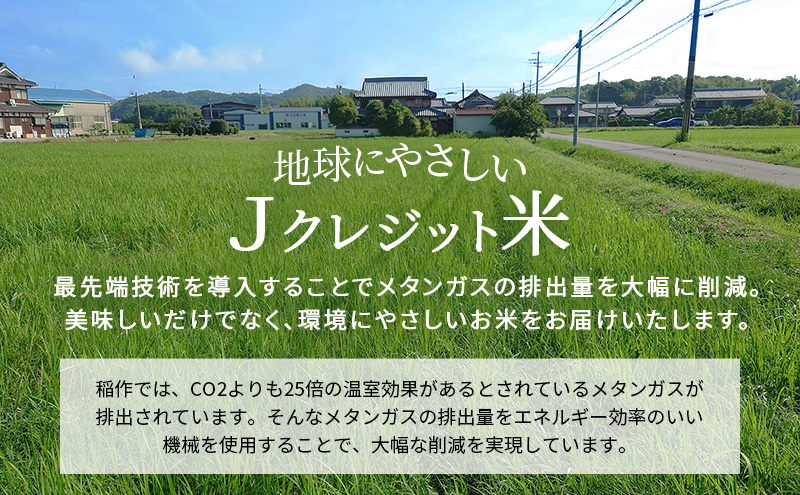 【令和8年産 先行受付】しきゆたか 白米 10kg《2026年12月発送