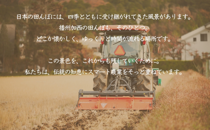 食べたいお米 Alatana 米 「一ツ星」 白米 10kg 精米 お米