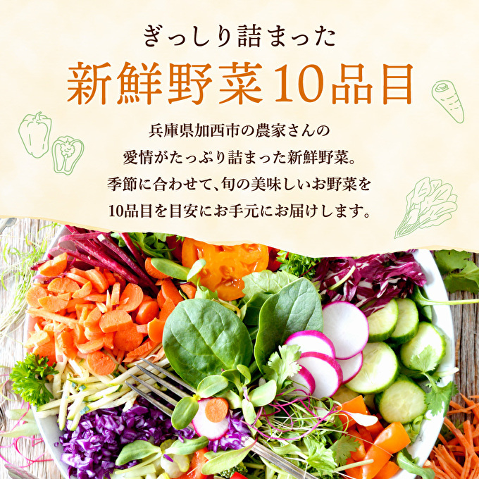季節の野菜 セット 詰め合わせ 10品程度 野菜 野菜セット 旬