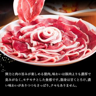 ぼたん鍋 セット 5～6人前[ 鍋 ジビエ 猪肉 ]