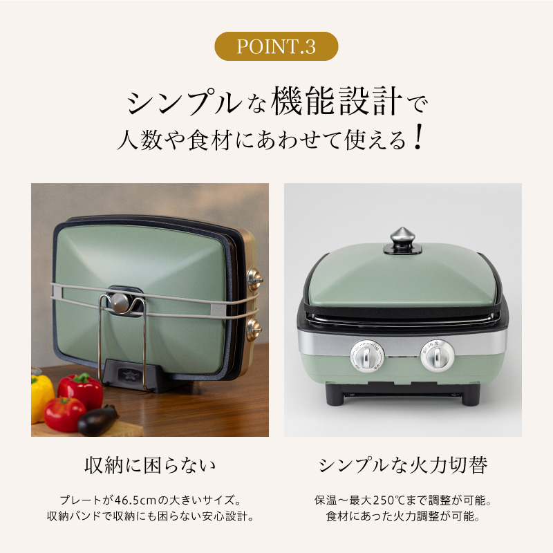 アラジン 訳あり 特別寄附額 グリーン 緑 グラファイトマジ