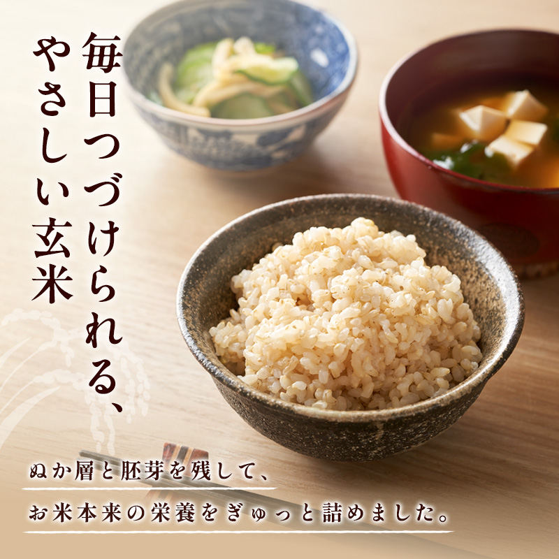 米 【令和7年産】神大のおこめ（特別栽培米ヒノヒカリ）玄