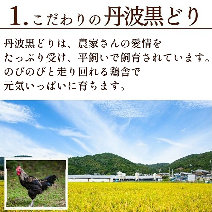 地鶏 丹波 黒どり 手羽元 4kg 鶏肉 冷凍 鍋 丹波山本 ヘルシー ボリューム 鳥 鶏おでん スープ