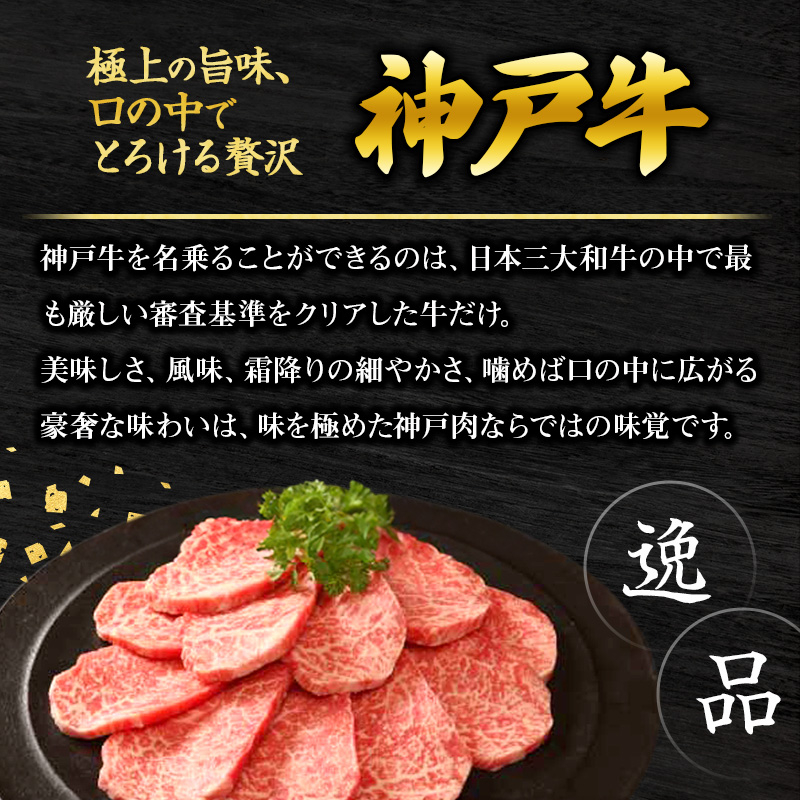 神戸牛 福袋 帝神 おまかせコース A サーロインステーキ モモステーキ もも肉 神戸牛 和牛 国産牛 国産牛肉 牛肉 牛 肉 お肉 ステーキ ステーキ肉 ステーキセット 焼肉 食べ比べセット 食べ比べ