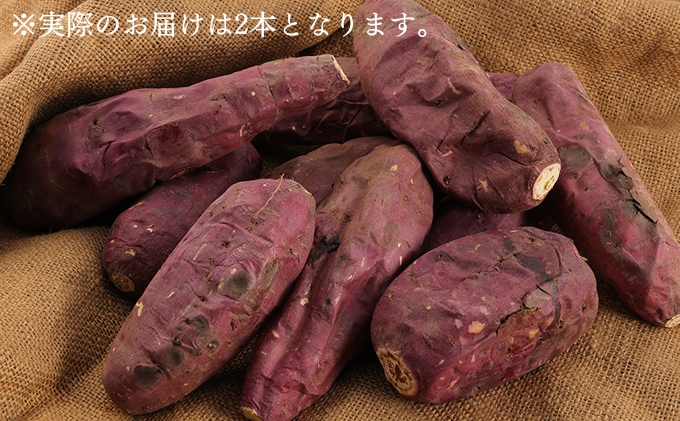 冷凍 やきいも 2本 紅はるか お試し imo.dot 専門店 さつまいも いも 芋 おいも お芋 冷凍やきいも 冷凍焼き芋 冷やし焼いも お菓子 おかし おやつ スイーツ