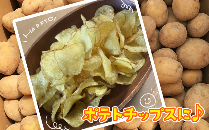 【テレビで話題！】美味しいジャガイモ　はりまる  兵庫県産 3kg