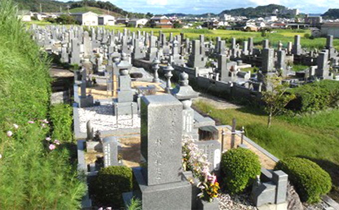 お墓現状確認サービス 代行サービス さーびす おはか だい