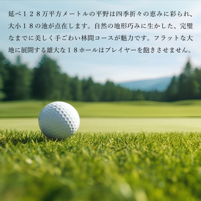 加西インターカントリークラブ プレー割引券 24000円分[ ゴ