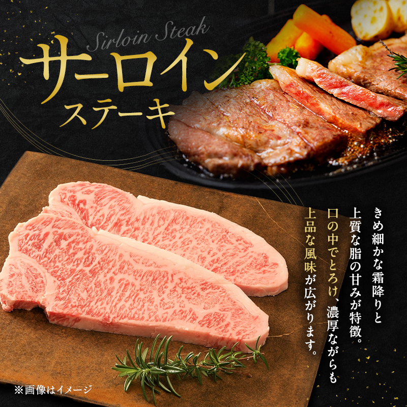 神戸牛 贅沢セットB 計700g ローススライス ももスライス サ