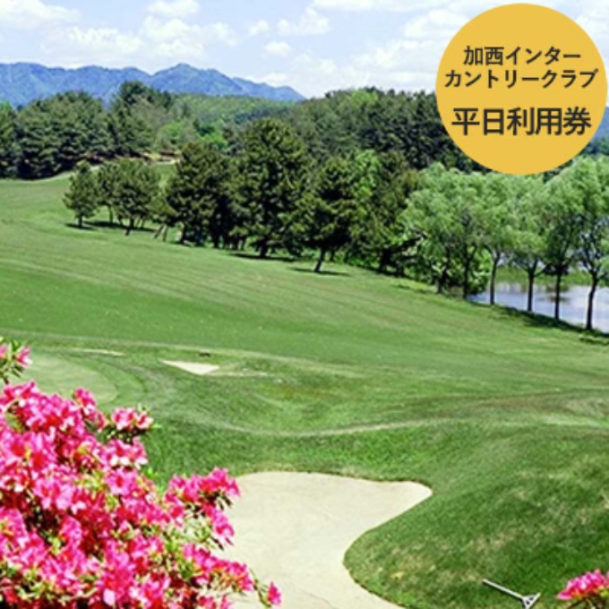 オーダーゴルフグローブ プレミアム × 平日1日ゴルフプレ