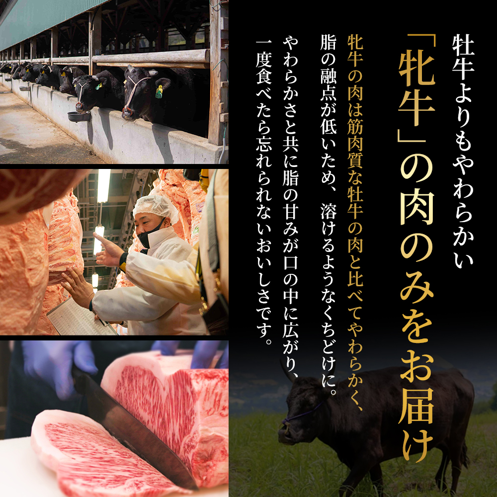 【最短7日以内発送】 神戸ビーフ 神戸牛 牝 極上焼肉 3種 食