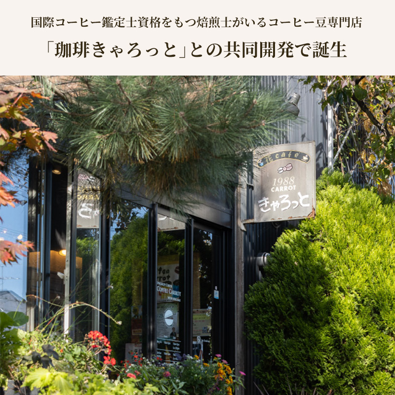 アラジン  グリーン 緑   コーヒーブリュワー ACO-D01AF Aladdin 