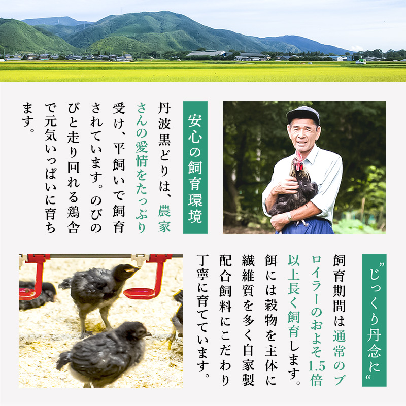 3ヶ月 定期便 地鶏 丹波 黒どり 丸ごと ぶつ切り 600g×5パッ