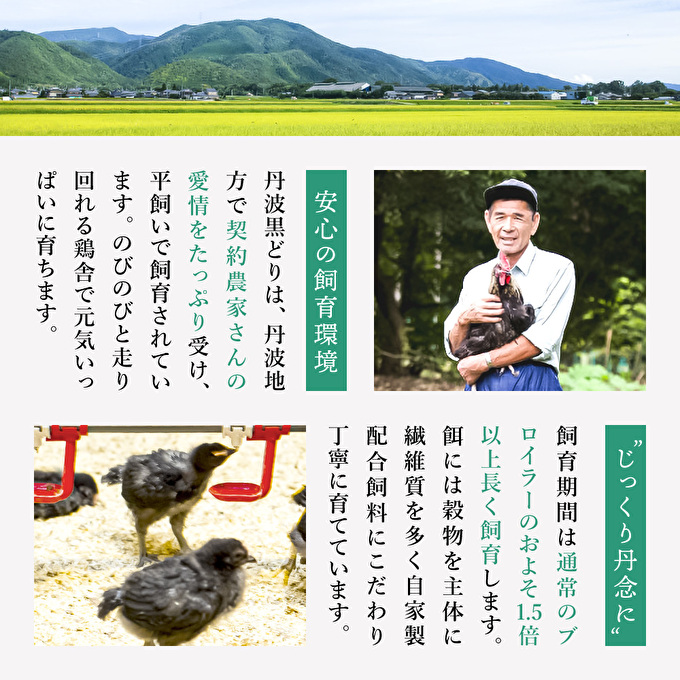 12ヶ月 定期便 地鶏 丹波 黒どり 丸ごと ぶつ切り 600g×5パッ