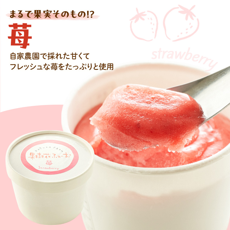 ジェラート いちご 12個 アイス アイスクリーム スイーツ お