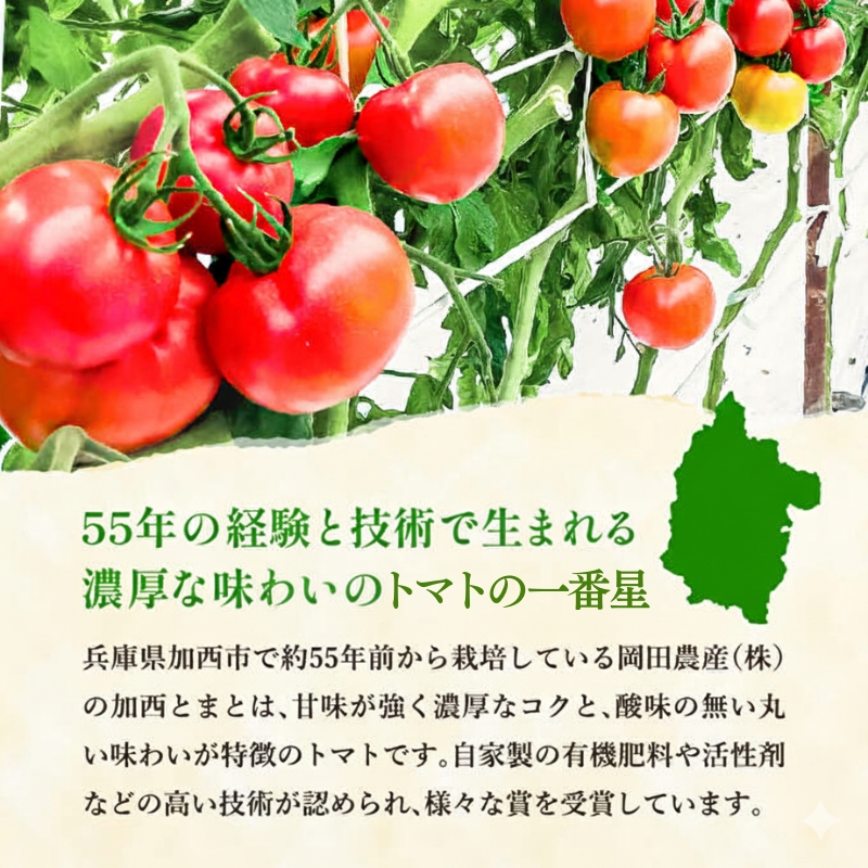 トマト 2kg+トマトの一番星ピューレ 380g×3本セット 兵庫県産