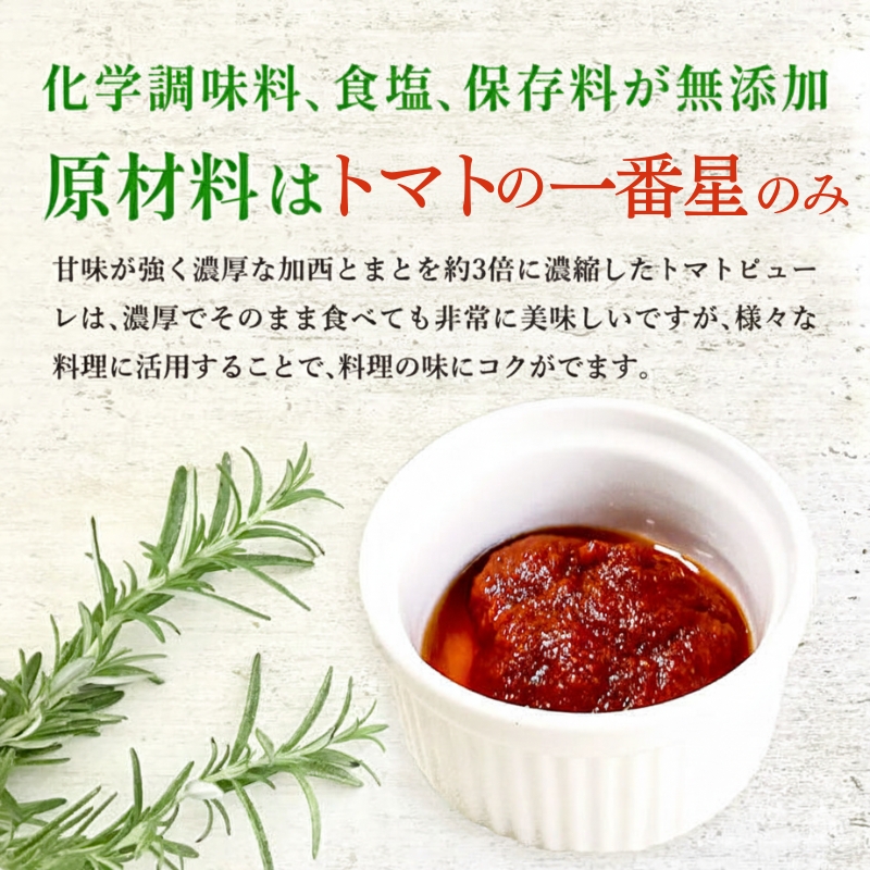 定期便 6ヶ月 トマトピューレ 380g×1本 トマトの一番星ピュ