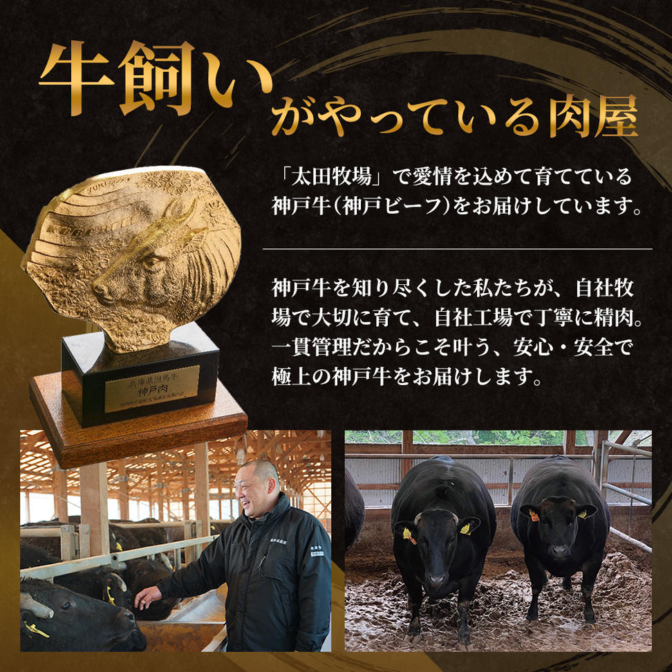 神戸牛 訳あり 切り落とし 400g×2 計800g 小分け 切り落とし 