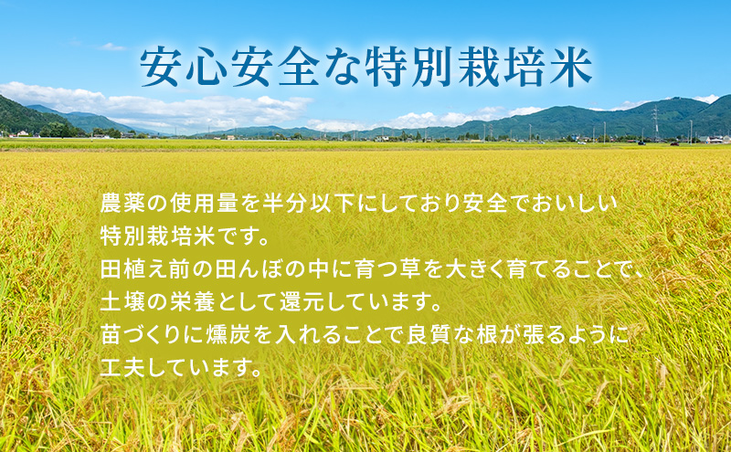 令和7年産 特別栽培米 にこまる 白米 3kg 精米 お米 こめ コ