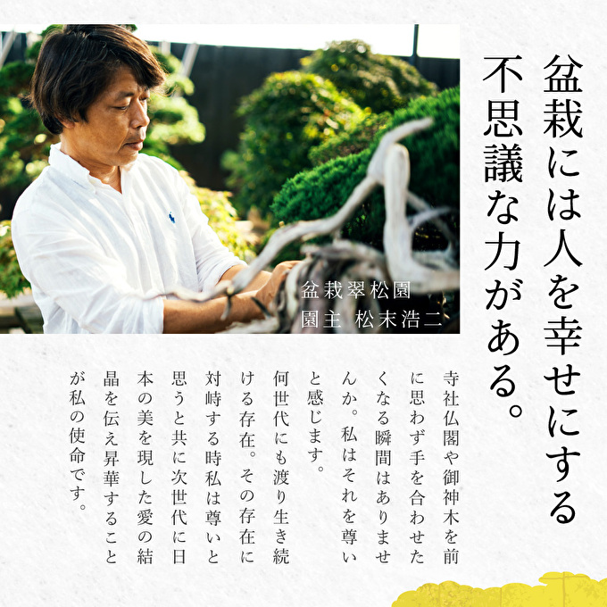 盆栽 翠松園 商品クーポン券 90,000円分 植物 観葉植物 園芸 