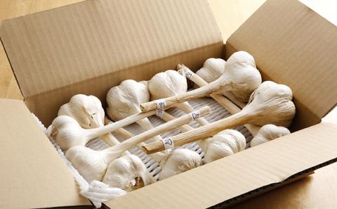 にんにく ハリマ王 600～800g 2025年度産 兵庫県産 野菜 ニンニク 個性派 独自栽培 国産 スタミナ おつまみ