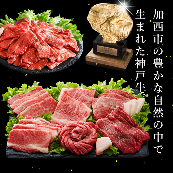 神戸牛 定期便 4ヶ月連続お届け 満足4種 赤身焼肉 肩ロース