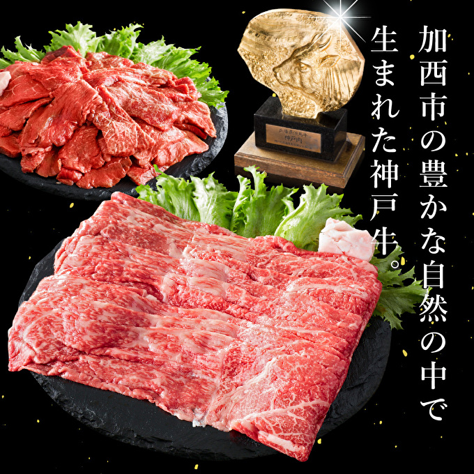 神戸牛 定期便 12ヶ月連続お届け 贅沢三昧 すき焼き肉 焼肉 