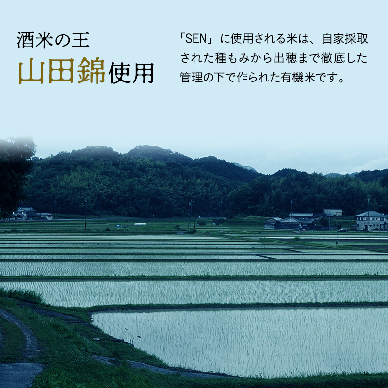 日本酒 SEN 生もと うすにごり生酒 ten 純米酒 無濾過生原酒 