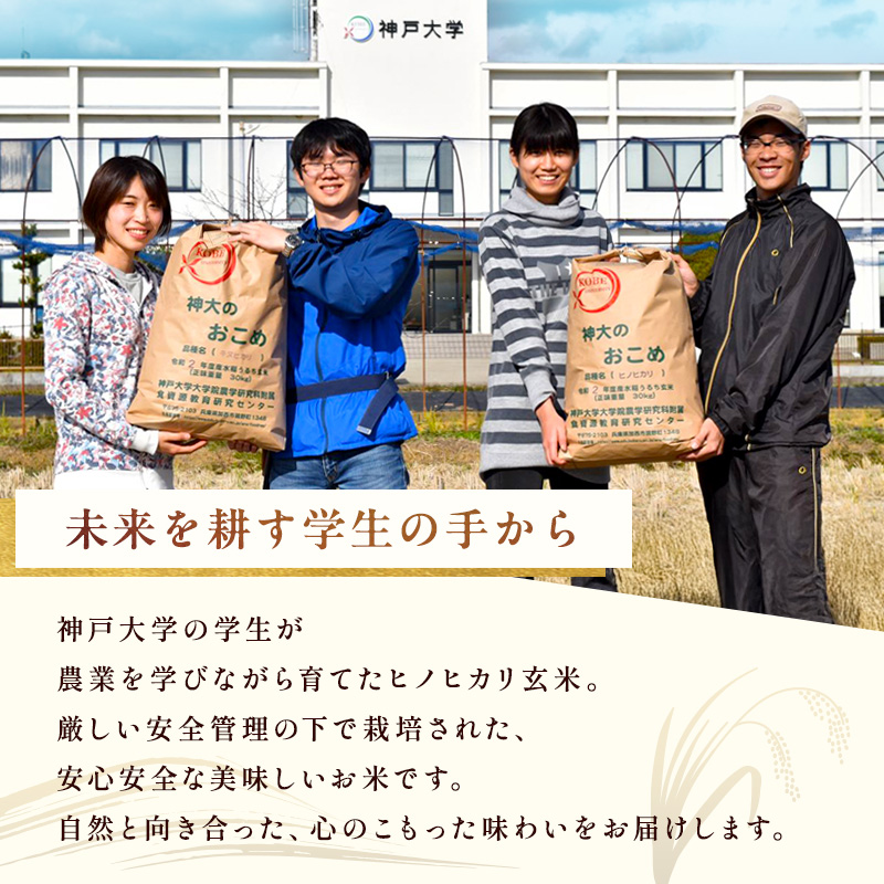 米 【令和7年産】神大のおこめ（特別栽培米ヒノヒカリ）玄