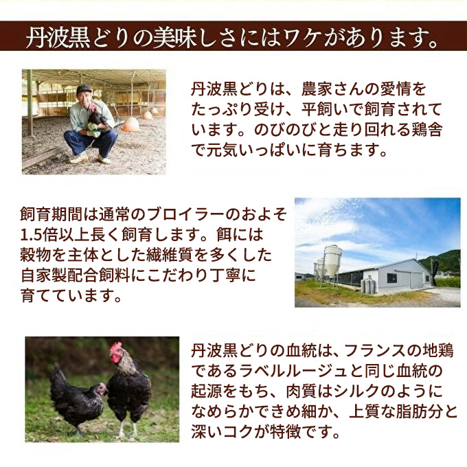 地鶏 丹波 黒どり 手羽元 4kg 鶏肉 冷凍 鍋 丹波山本 ヘルシ