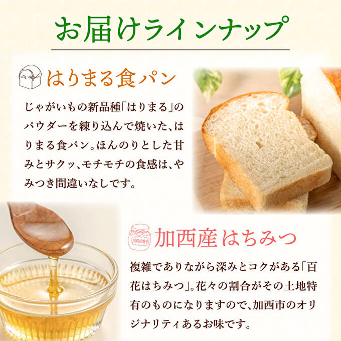 笑顔あふれる『播磨特選モーニングセット』