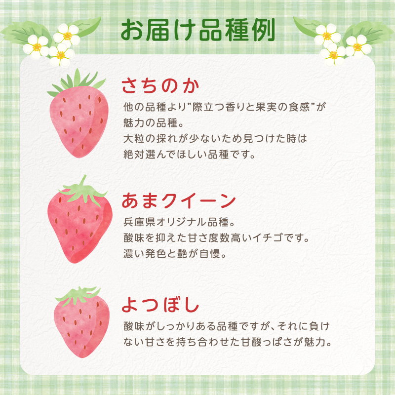 いちご　4パック 兵庫県 加西市 果物類 苺 イチゴ 果物詰合