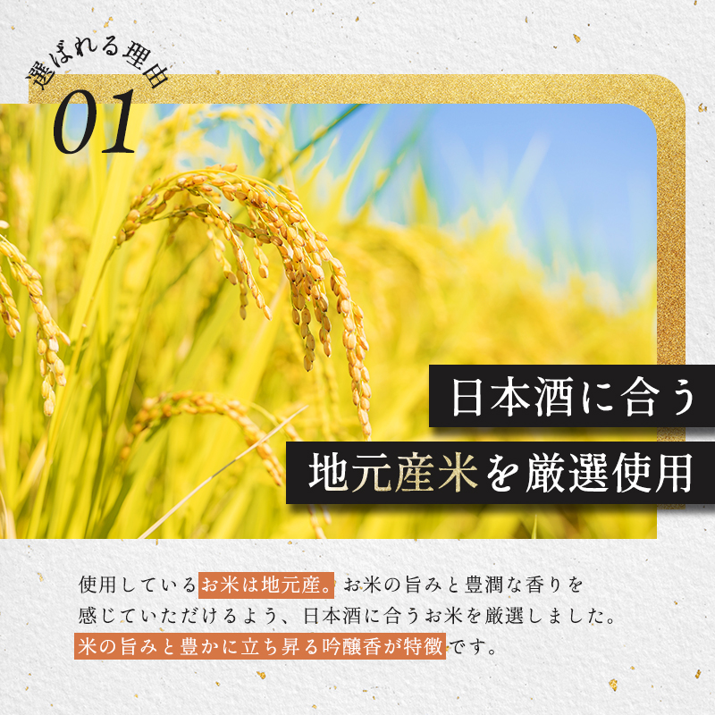 菊日本 純米大吟醸＆純米酒 2本セット おすすめ ギフト プ